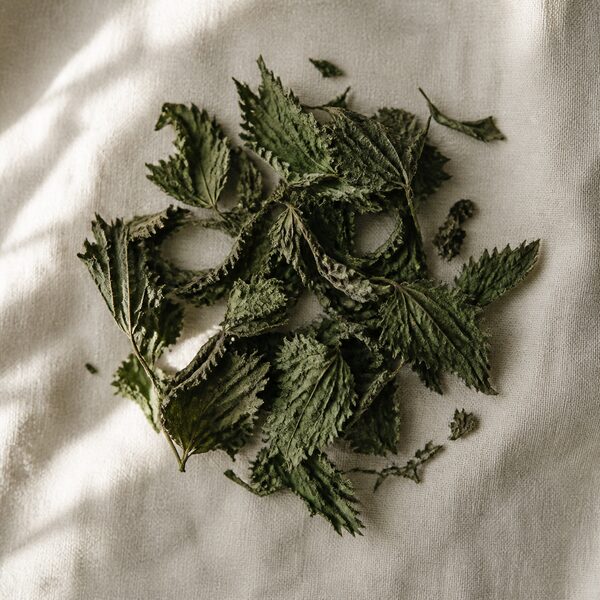 Dried nettle leaf