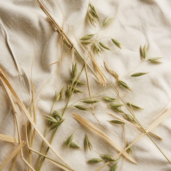 Dried oatstraw